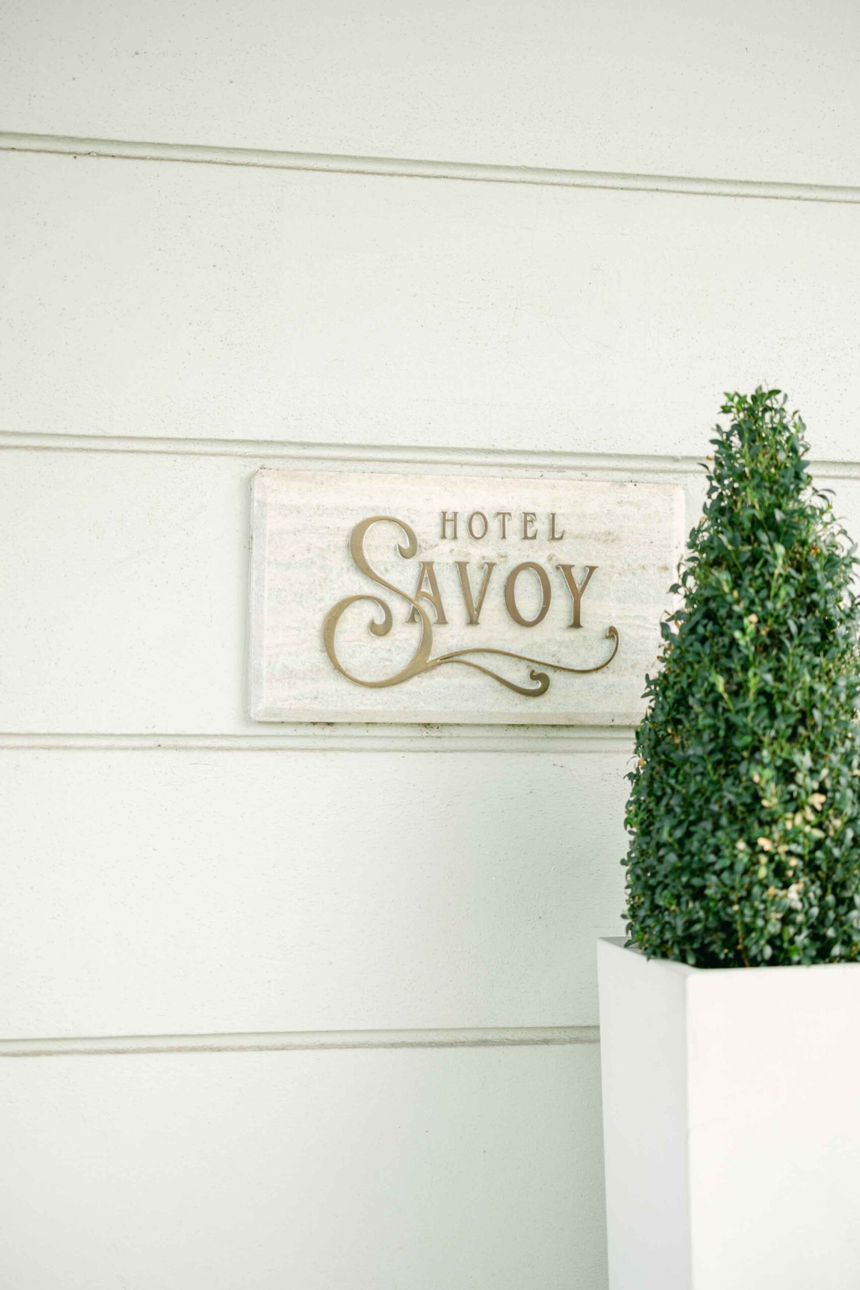 Hotel Savoy svatba
